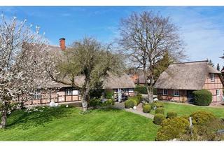 Haus kaufen in 23883 Hollenbek, Reetdachanwesen mit zwei Wohneinheiten in traumhafter Feldrandlage