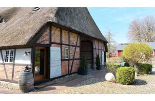 Haus kaufen in 23883 Hollenbek, Bezauberndes Reetdach-Unikat mit 2-3 Wohneinheiten - Feldrand!