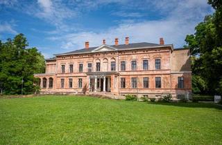 Haus kaufen in Janow, 17392 Neuendorf B, Schloss mit Parkanlage sucht neue Visionäre