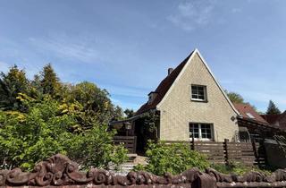 Einfamilienhaus kaufen in 21502 Geesthacht, *** Gepflegtes Einfamilienhaus mit Garage in Geesthacht ***