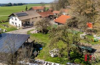 Haus kaufen in 87733 Markt Rettenbach, Ein kleines Paradies: Anwesen für Natur- und Tierliebhaber im schönen Allgäu!