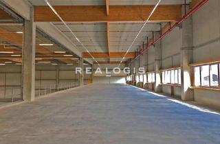 Gewerbeimmobilie mieten in 96050 Bamberg, Moderne Lager- und Ausstellungsfläche mit ca. 3.400 m² zu vermieten
