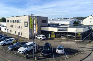 Gewerbeimmobilie kaufen in 89537 Giengen, Autohaus mit Showroom, Werkstatt und Freiflächen