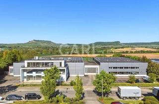 Gewerbeimmobilie kaufen in 74235 Erlenbach, Attraktive und moderne Gewerbeliegenschaft mit Produktions-, Lager-, und Büroflächen