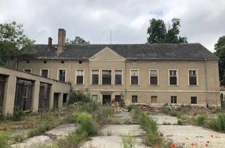 Anlageobjekt in 39517 Lüderitz, von Bismarck - Gutshof mit Wohn - und Gewerbeflächen zur Entwicklung an der A14 kaufen