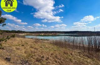 Anlageobjekt in 03149 Wiesengrund, Einzigartiges Anwesen – Wohnen, Natur und Anlagepotenzial auf über 400.000 m² mit eigenem See.