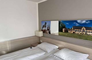 Anlageobjekt in 38640 Goslar, Kapitalanlage - 24 vermietete Hotelappartements im Paket in der Kaiserstadt Goslar