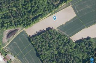 Grundstück zu kaufen in 96135 Stegaurach, Landwirtschaftliche Fläche (Acker) in Stegaurach (Höfen) – ca. 9.400 m²