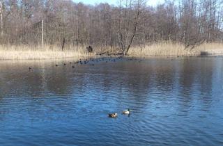 Grundstück zu kaufen in 16798 Fürstenberg/Havel, Neuer Preis !! Wohnen am See! Voll erschlossene Baugrundstücke am Baalensee zu verkaufen!