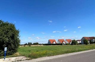 Grundstück zu kaufen in Lindenweg 47, 06188 Landsberg, Du willst ein Haus selberbauen - hier ist dein Grundstück dafür?