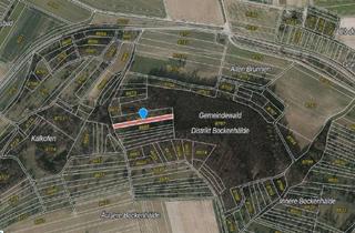 Grundstück zu kaufen in 74889 Sinsheim, Drei Waldflächen in Teilorten von Sinsheim - Einzel- oder Gesamterwerb möglich!