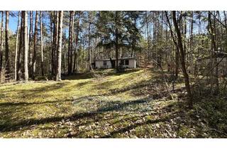 Grundstück zu kaufen in 16348 Wandlitz, Natur pur: Großzügiges Wochenendgrundstück am Bauernsee zu verkaufen!