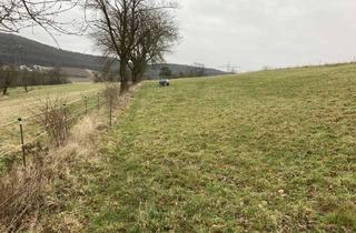 Gewerbeimmobilie kaufen in Am Schildhöfer Pfad, 36208 Wildeck, Grünlandfläche in Wildeck-Obersuhl