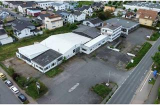 Gewerbeimmobilie kaufen in 64319 Pfungstadt, Pfungstadt – Gewerbeareal im Mischgebiet mit vielfältigen Umnutzungsmöglichkeiten, ca. 6.779 m²