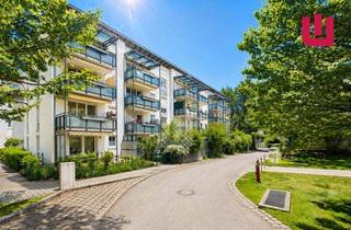 Wohnung mieten in 82194 Gröbenzell, WINDISCH IMMOBILIEN - Gepflegte 2 Zimmer-Gartenwohnung in ruhiger Lage von Gröbenzell - bezugsfrei!