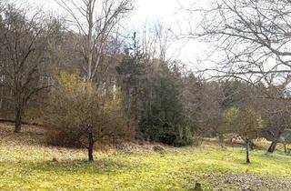 Reihenhaus kaufen in 91177 Thalmässing, Seltene Chance: Großes Grundstück mit Altbestand und vielfältigen Nutzungsmöglichkeiten