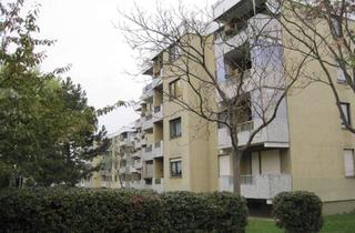 Wohnung mieten in Gustavsburger Str. 35, 65462 Ginsheim-Gustavsburg, Hier wird für Sie modernisiert