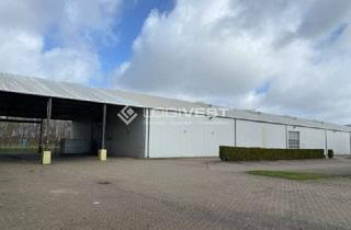 Gewerbeimmobilie mieten in 38442 Fallersleben, Attraktive 24/7 Halle mit aktivem Gleisanschluss
