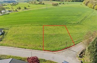Immobilie kaufen in 35619 Braunfels, Baugrundstück in Feldrandlage in Braunfels-Tiefenbach