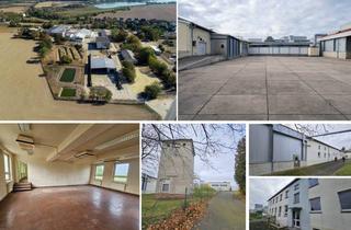 Lager mieten in 04668 Grimma, GROß-PÄCHTER ab 1,00 €/m² gesucht! GS mit ca. 10.900 m² Bestand - Untervermietung mögl.