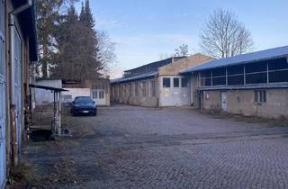 Gewerbeimmobilie kaufen in 04736 Waldheim, Solar-Investment mit Cashflow: 2.765 m² Hallenfläche vermietet auf 4.100 m² (VB)