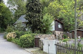 Haus kaufen in 01744 Dippoldiswalde, Waldhäuschen mit Panorama – ein Ort, der mehr ist als nur ein Zuhause