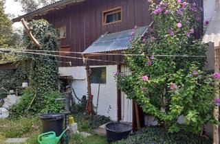 Bauernhaus kaufen in 25712 Burg, Burg (Dithmarschen) - bauernhaus