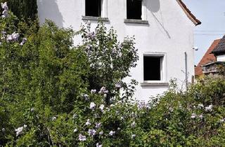 Einfamilienhaus kaufen in 67280 Ebertsheim, Ebertsheim - Feines Einfamilienhaus mit großem, sonnigen Grundstück