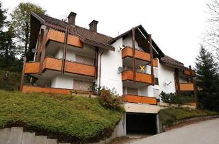 Wohnung kaufen in 79674 Todtnau, Todtnau - möblierte Ferienwohnung in Todtnauberg, Toplage beim Skilift
