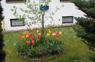 Einfamilienhaus kaufen in 29456 Hitzacker, Hitzacker (Elbe) - Einfamilienhaus mit 7 Zimmern