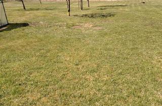 Doppelhaushälfte kaufen in 17192 Waren, Waren (Müritz) - Doppelhaushälfte zu verkaufen in 17192 klein Plasten