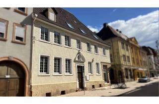 Wohnung kaufen in 76829 Landau, Modernes Maisonette-Wohnen mit Balkon im Denkmal in der Innenstadt von Landau