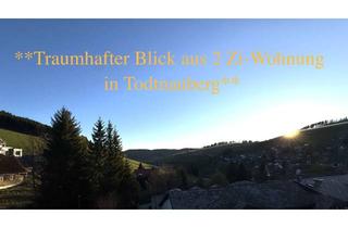 Wohnung kaufen in 79674 Todtnau, Exquisite 2-Zimmer-Wohnung in Todtnauberg: Ihr Rückzugsort im Schwarzwald
