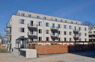 Wohnung mieten in Bruno-Bürgel-Weg 39 B, 12439 Niederschöneweide, Moderne 2-Zimmer-Wohnung – sofort bezugsfrei