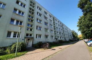 Wohnung mieten in 17491 Schönwalde II, Helle 2-Zimmer-Wohnung mit Süd-Balkon in ruhiger Lage Greifswalds