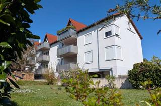 Wohnung mieten in In Den Brunnenwiesen, 67686 Mackenbach, Renovierte Wohnung mit Balkon in Mackenbach