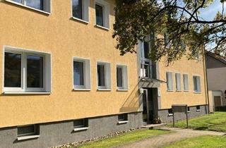 Wohnung mieten in Schlesier Str., 31162 Bad Salzdetfurth, Bodenburg - moderne 3 Zimmer Wohnung im Erdgeschoss