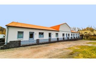 Wohnung mieten in Teichstraße, 06542 Beyernaumburg, Barrierefreie 2-Zimmer Wohnung mit Terrasse in Sangerhausen