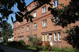 Wohnung mieten in Ihlenfelder Straße 38, 17034 Industrieviertel, Großzügige Zweiraumwohnung zu vermieten!
