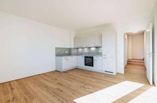 Wohnung mieten in Glauchaer Straße 50c, 06110 Halle, Modernes Wohnen: Exklusive 4-Zimmer-Neubauwohnung mit Einbauküche