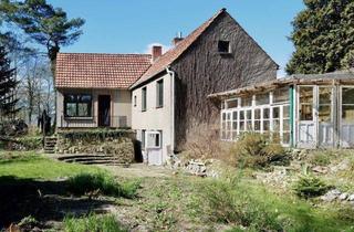 Haus kaufen in 21755 Hechthausen, Verwunschenes Eckgrundstück mit viel Privatsphäre und sonnigem Landhaus inklusive Bauplatz