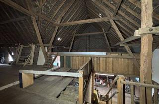 Lager kaufen in 64832 Babenhausen, Provisionsfrei - Große Hofreite mit Scheune und viel Potential - ruhige Lage im Rhein-Mai-Gebiet