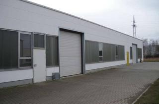 Büro zu mieten in Dörntener Str. 25, 38644 Goslar, Hallenfläche mit Büro in Goslar/ Baßgeige - Top-Lage !