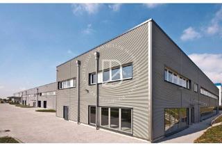 Anlageobjekt in 68219 Rheinau, "BAUMÜLLER AG" - Investmentgelegenheit - ca. 5.000 qm Mietfläche zum KAUF