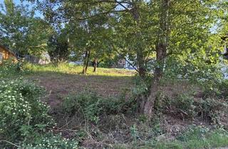 Grundstück zu kaufen in Im Stumpfacker 26, 76857 Ramberg, Bauland in Ramberg