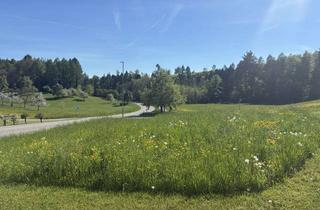 Grundstück zu kaufen in Im Garten, 78476 Allensbach, Baugrundstück ohne Makler in Allensbach Freudental Südwestlage, erschlossen, Bauvoranfrage, VHB