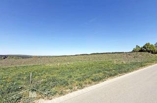 Grundstück zu kaufen in 85110 Kipfenberg, Baugrundstück für DHH in sonniger Lage von Kipfenberg/Pfahldorf