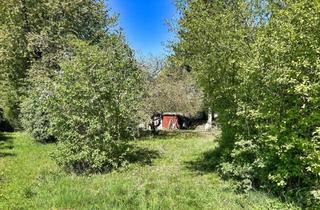 Grundstück zu kaufen in 84130 Dingolfing, Baugrundstück ohne Bauzwang in Dingolfing