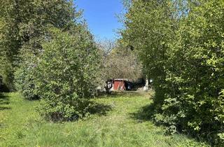 Grundstück zu kaufen in 84130 Dingolfing, Baugrundstück ohne Bauzwang in Dingolfing