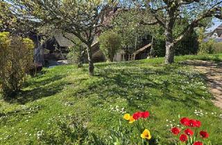 Grundstück zu kaufen in 79379 Müllheim, Neu zu vermessendes Baugrundstück